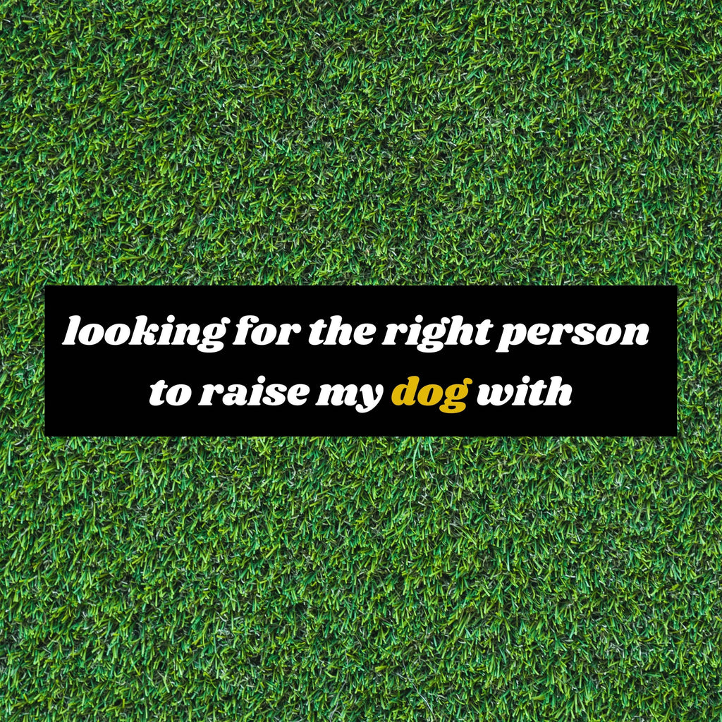 BARK JAX - Looking For The Right Person Bumper Sticker - Dog.Dog.Cat.