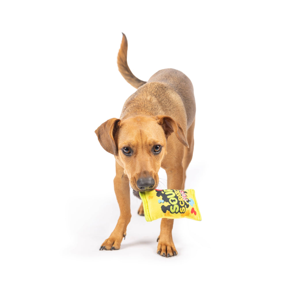 Tiny Tuff Sour Scratch - Dog.Dog.Cat.