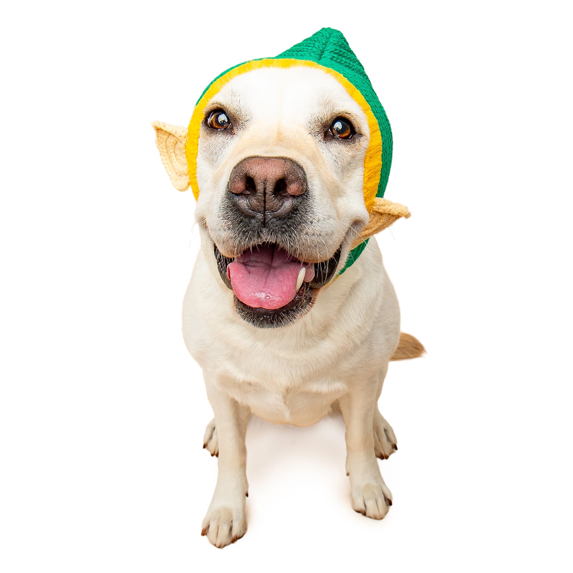 Zoo Snoods - Elf Dog Snood