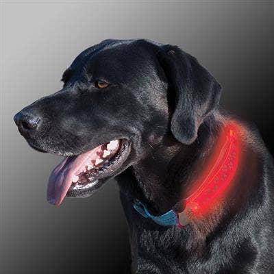 Nite Ize NiteDog LED Collar Cover - Grey - Dog.Dog.Cat.