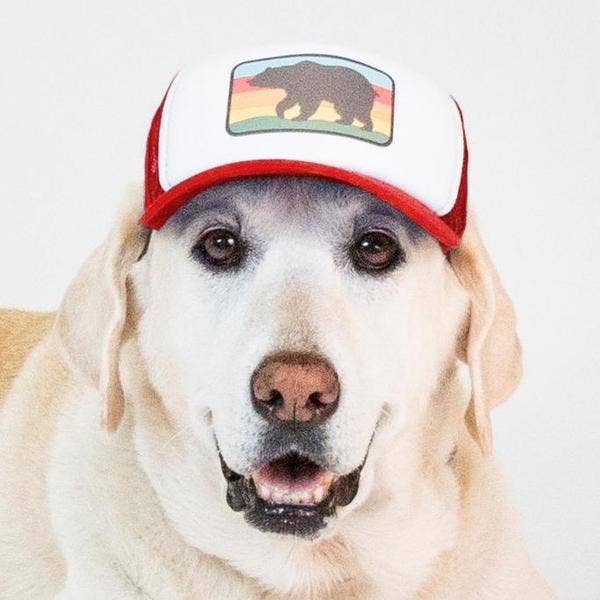 Bear Standard Lake Tahoe | Trucker Hat for Dogs - Dog.Dog.Cat.