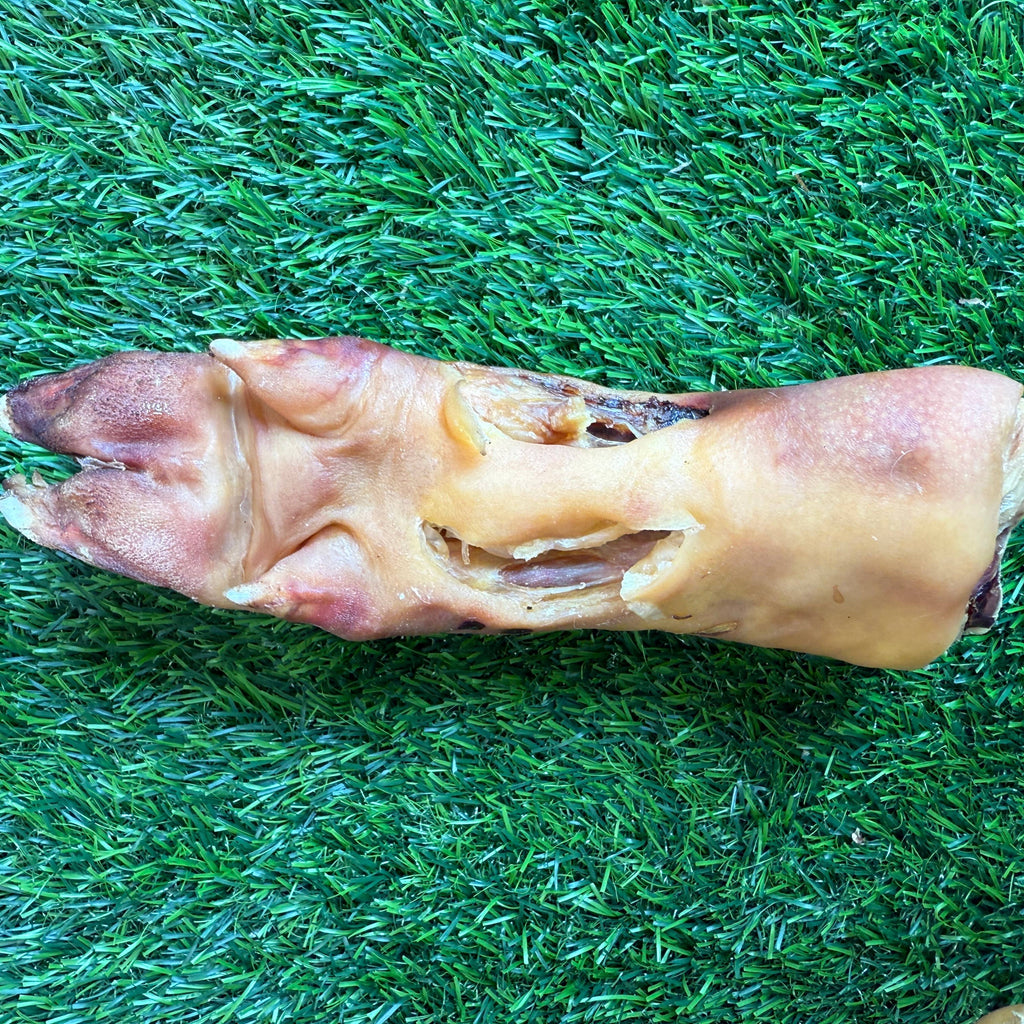 Golden Nibbles - Pork Trotter/Pig Foot - 8-9 in - Long Lasting Chew For Dogs - Dog.Dog.Cat.
