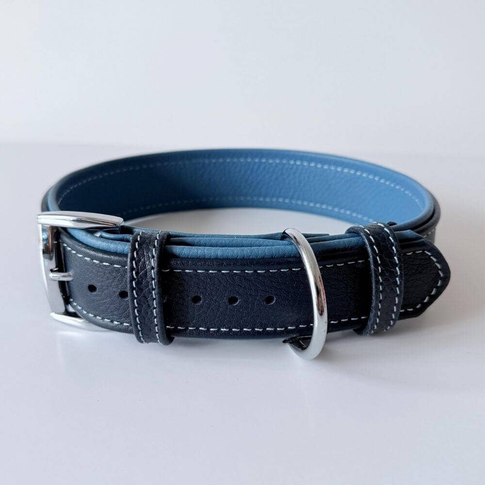 Premium Leather Dog Collar | Navy Blue & Turquoise - Dog.Dog.Cat.
