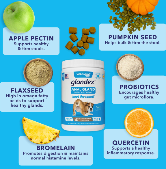 Glandex Anal Gland Support Soft Chews Peanut Butter 30ct - Dog.Dog.Cat.