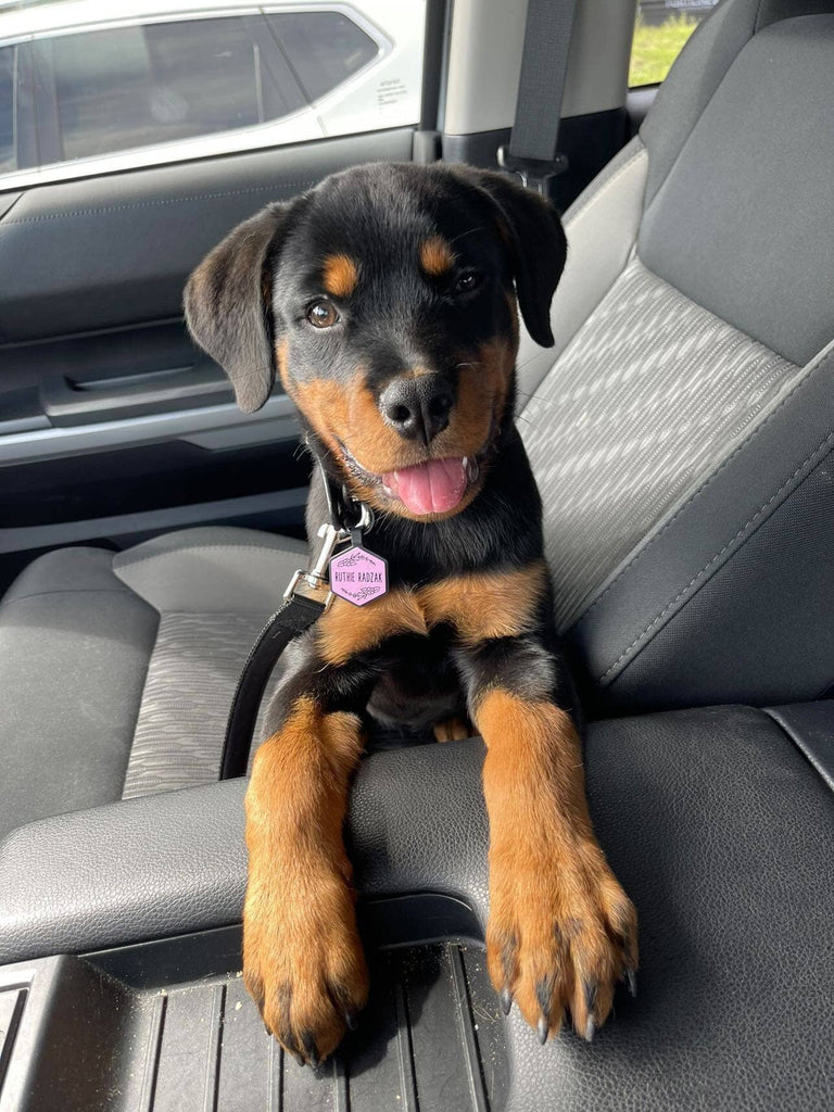 Besties Pets - Blossom Silicone Dog ID Tag - Dog.Dog.Cat.