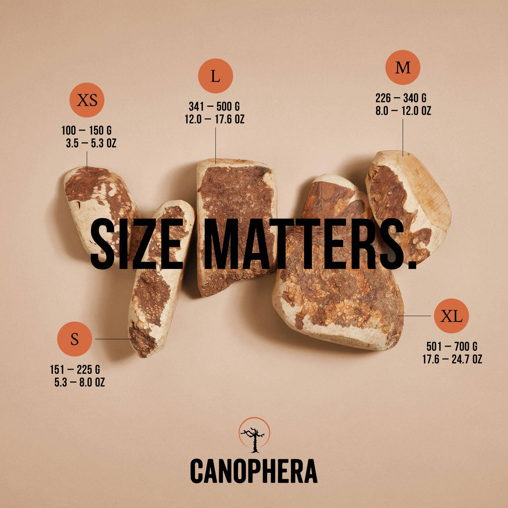 Dog Chew Made of Briar Root. - Dog.Dog.Cat.