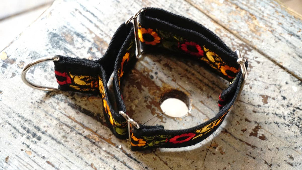 hundsfutter - Wide collar anti escape design - Dog.Dog.Cat.