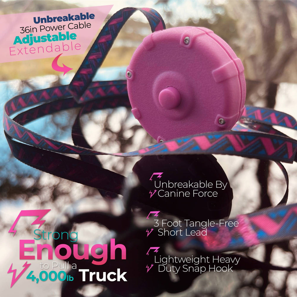 Lazy Leash! - LAZY LEASH! ⚡️ Mini Power Leash! - Dog.Dog.Cat.