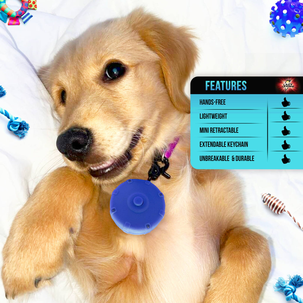 Lazy Leash! - LAZY LEASH! ⚡️ Mini Power Leash! - Dog.Dog.Cat.