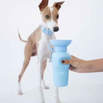 Classic Springer Travel Bottle 22 oz. - Dog.Dog.Cat.