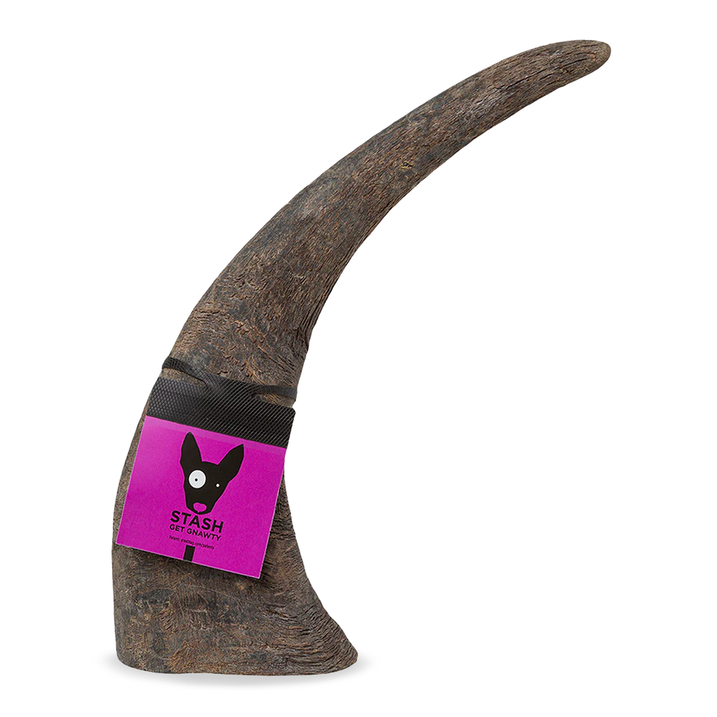 Water Buffalo Horn-Buba Chew - Dog.Dog.Cat.