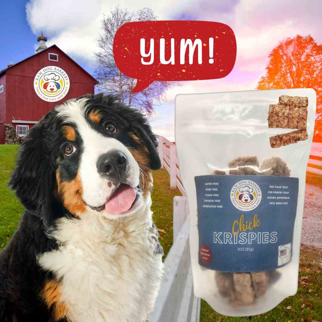 Chick Krispies -  The "Rice Krispie" version of a dog treat made from just chicken. - Dog.Dog.Cat.
