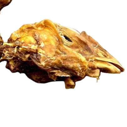 Chicken Head - Dog.Dog.Cat.