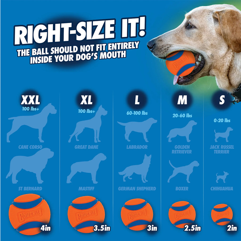 Chuckit Ultra Squeaker Ball - Large, Medium, Small & Extra Large Options Available - Dog.Dog.Cat.