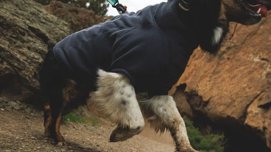 Climate Changer™ Fleece Jacket Technical, Breathable Fleece Jacket - Dog.Dog.Cat.