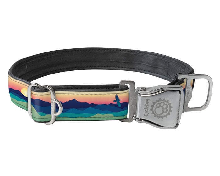 Cycle Dog - Eagle Sunrise Reflective Durable Dog Collar for Active Everyday Wear - Dog.Dog.Cat.