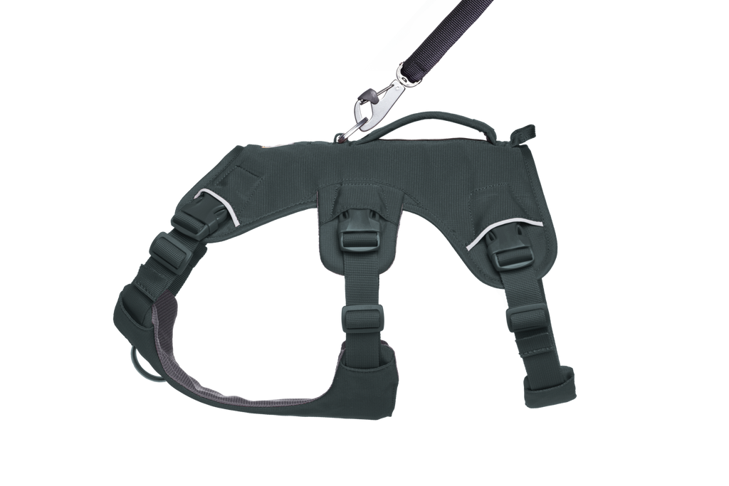 Web Master™ Dog Harness with Handle harness with neck buckle and handle - Dog.Dog.Cat.