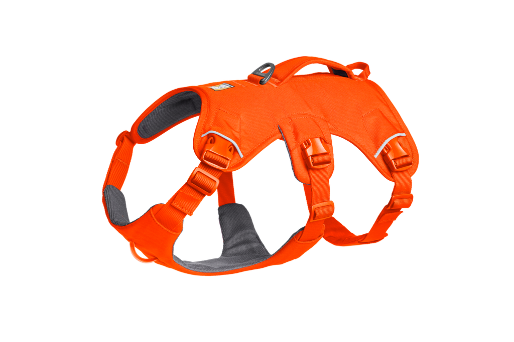 Web Master™ Dog Harness with Handle harness with neck buckle and handle - Dog.Dog.Cat.