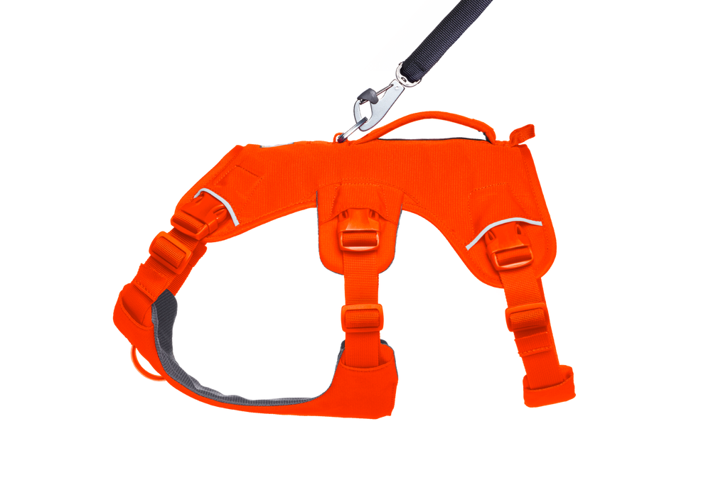 Web Master™ Dog Harness with Handle harness with neck buckle and handle - Dog.Dog.Cat.