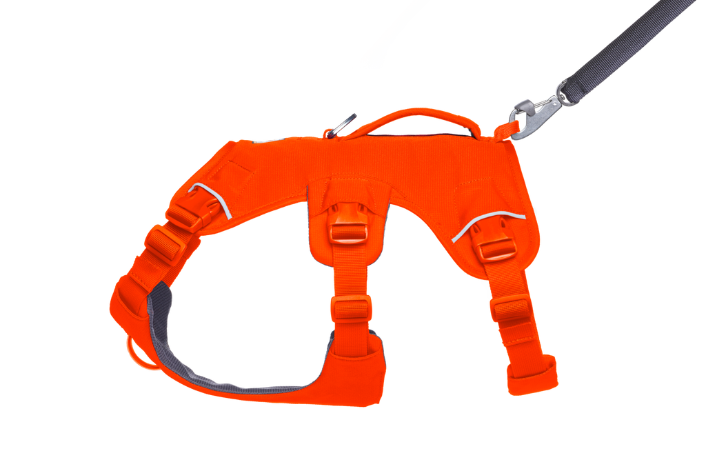 Web Master™ Dog Harness with Handle harness with neck buckle and handle - Dog.Dog.Cat.