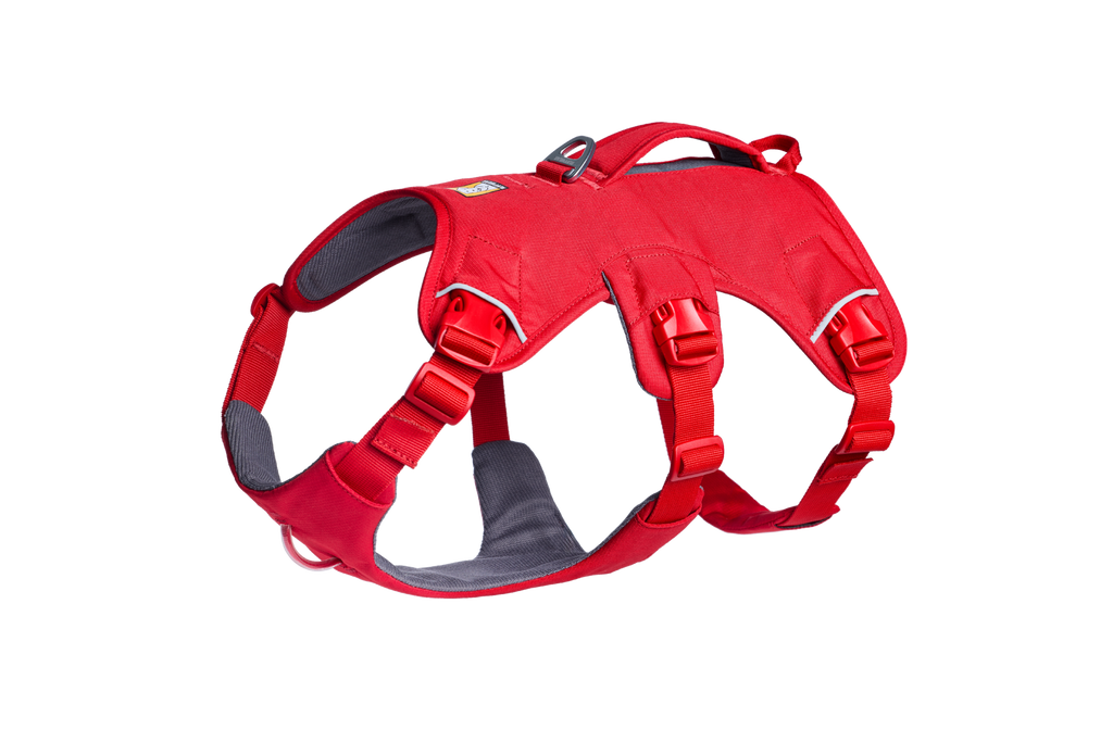 Web Master™ Dog Harness with Handle harness with neck buckle and handle - Dog.Dog.Cat.