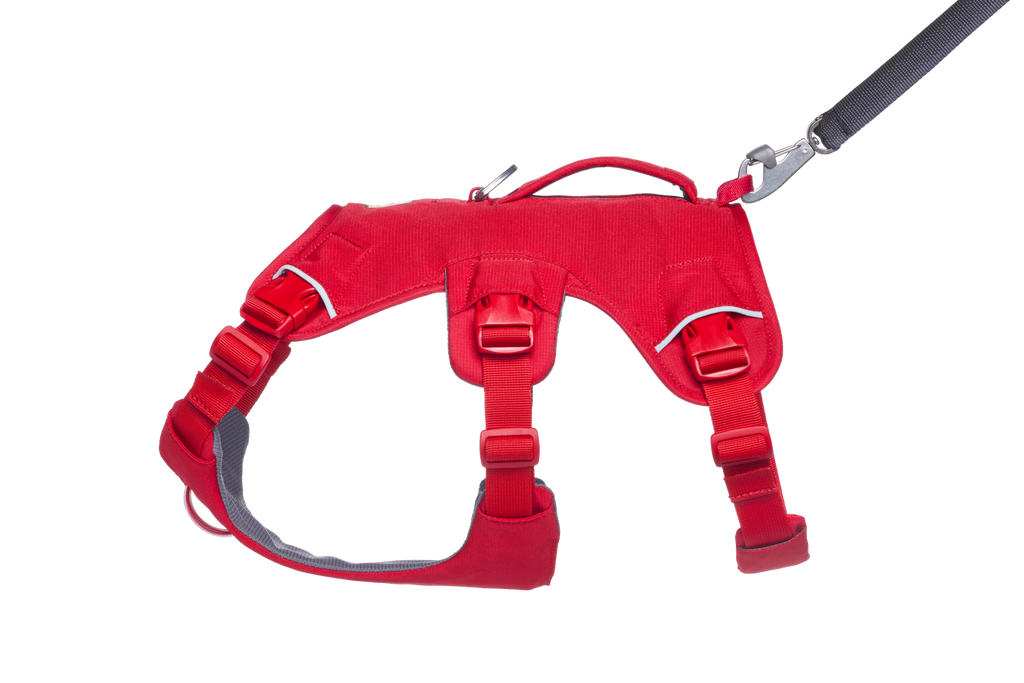 Web Master™ Dog Harness with Handle harness with neck buckle and handle - Dog.Dog.Cat.