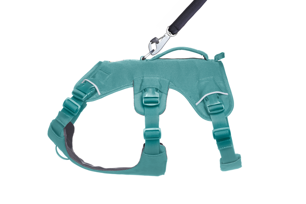 Web Master™ Dog Harness with Handle harness with neck buckle and handle - Dog.Dog.Cat.
