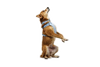 Ruffwear Front Range® Flex Harness - Dog.Dog.Cat.