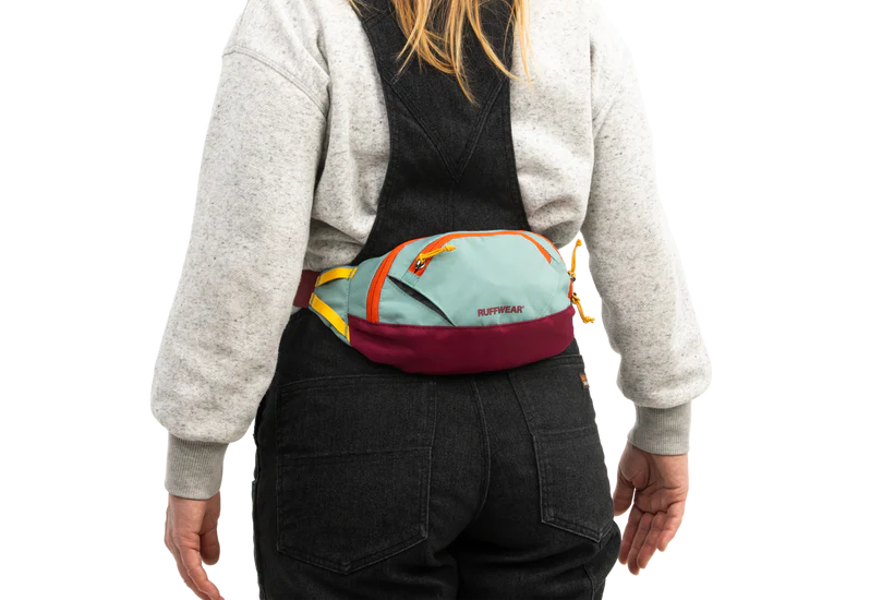 Home Trail™ Hip Pack Hands-Free Everyday Bag - Dog.Dog.Cat.