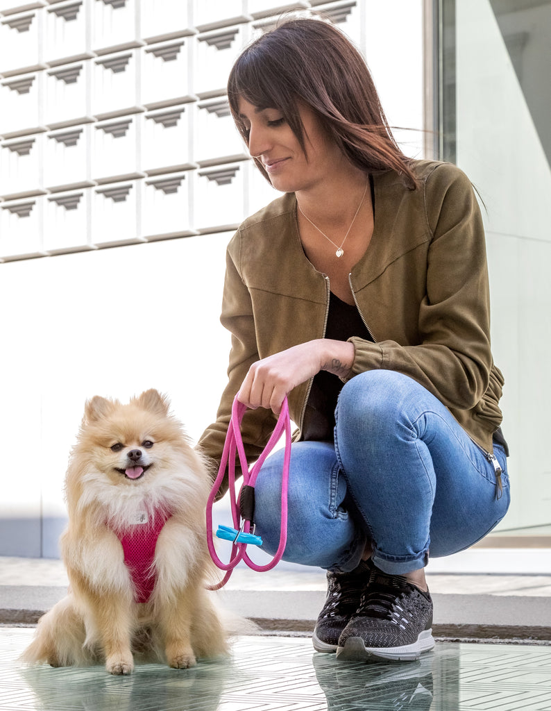 Curli Stretch Comfort Leash-Fuchsia - Dog.Dog.Cat.