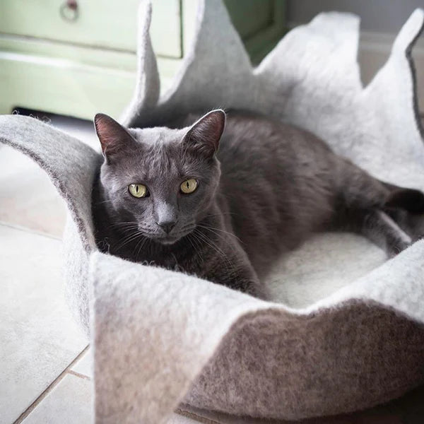 Petal Basket-Grey Teal : 20" - Dog.Dog.Cat.