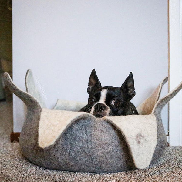 Petal Basket-Grey Teal : 20" - Dog.Dog.Cat.