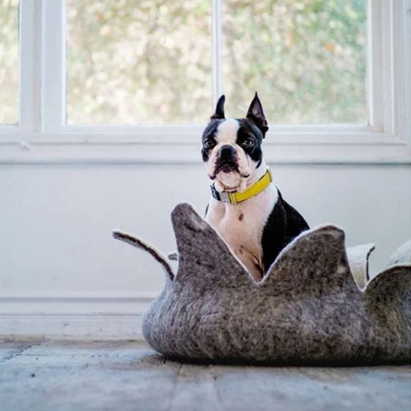 Petal Basket 100% Wool - Natural White - Dog.Dog.Cat.
