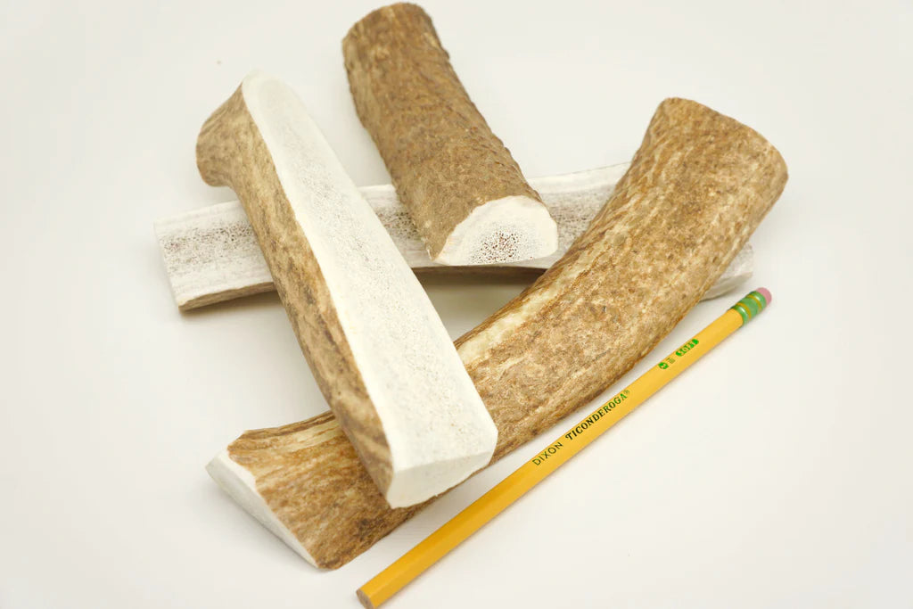 Elk Antler Dog Chews - Split  or Whole - Dog.Dog.Cat.