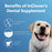 InClover Dental Supplement for Dogs + Cats (BioBrilliant)