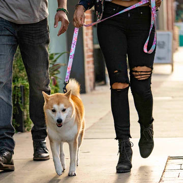 DigiFloral Dog Leash - Dog.Dog.Cat.