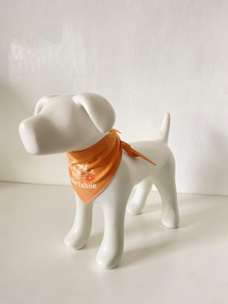 Dog Dog Cat Lake Tahoe Bandana - Dog.Dog.Cat.