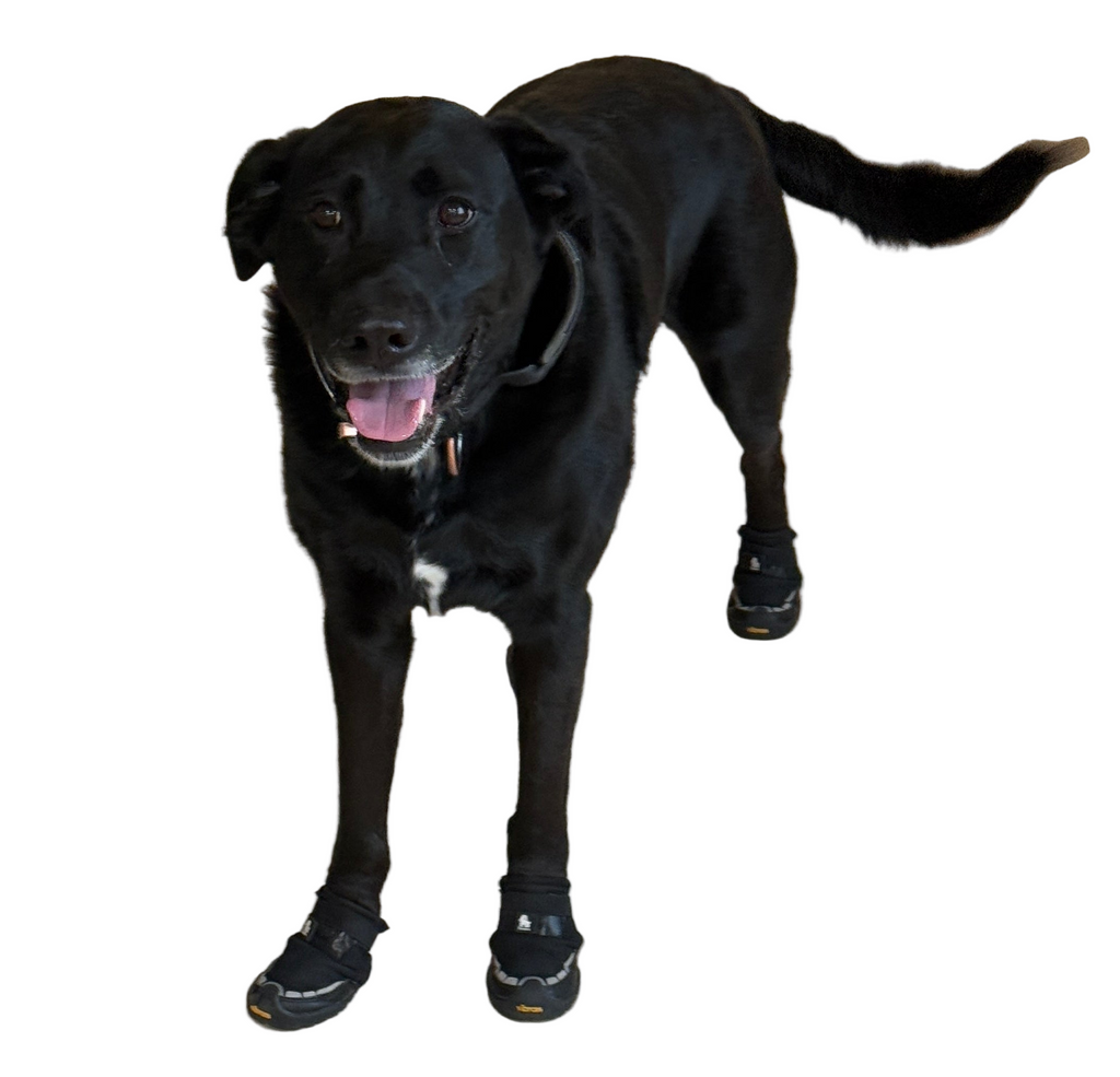 TrueLove Dog Shoes TLS4862 - Dog.Dog.Cat.