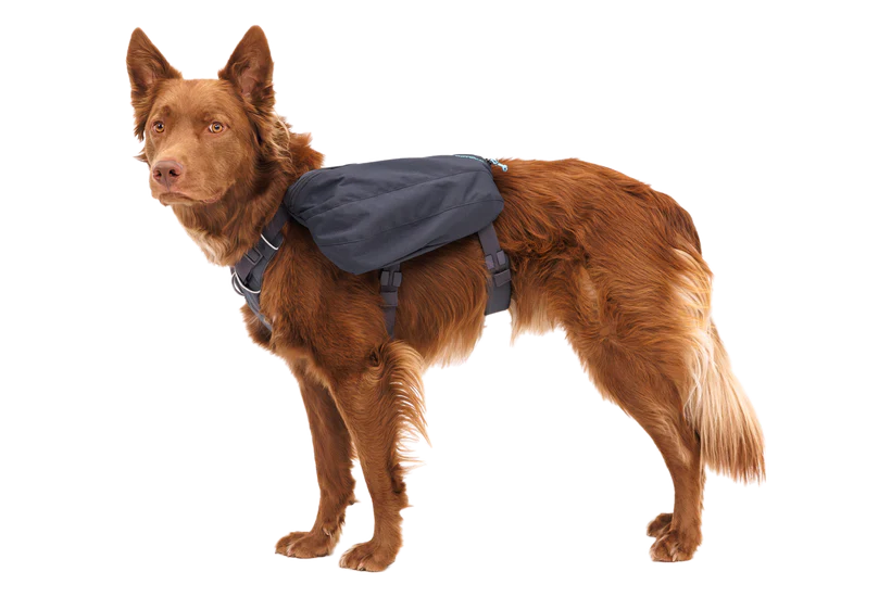 Ruffwear Front Range Day Pack - Dog.Dog.Cat.