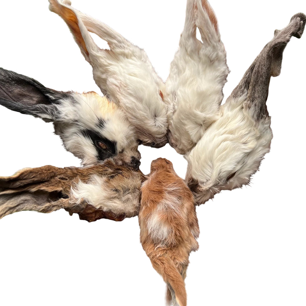 Rabbit head dog chews - Whole Heads with ears - Dog.Dog.Cat.