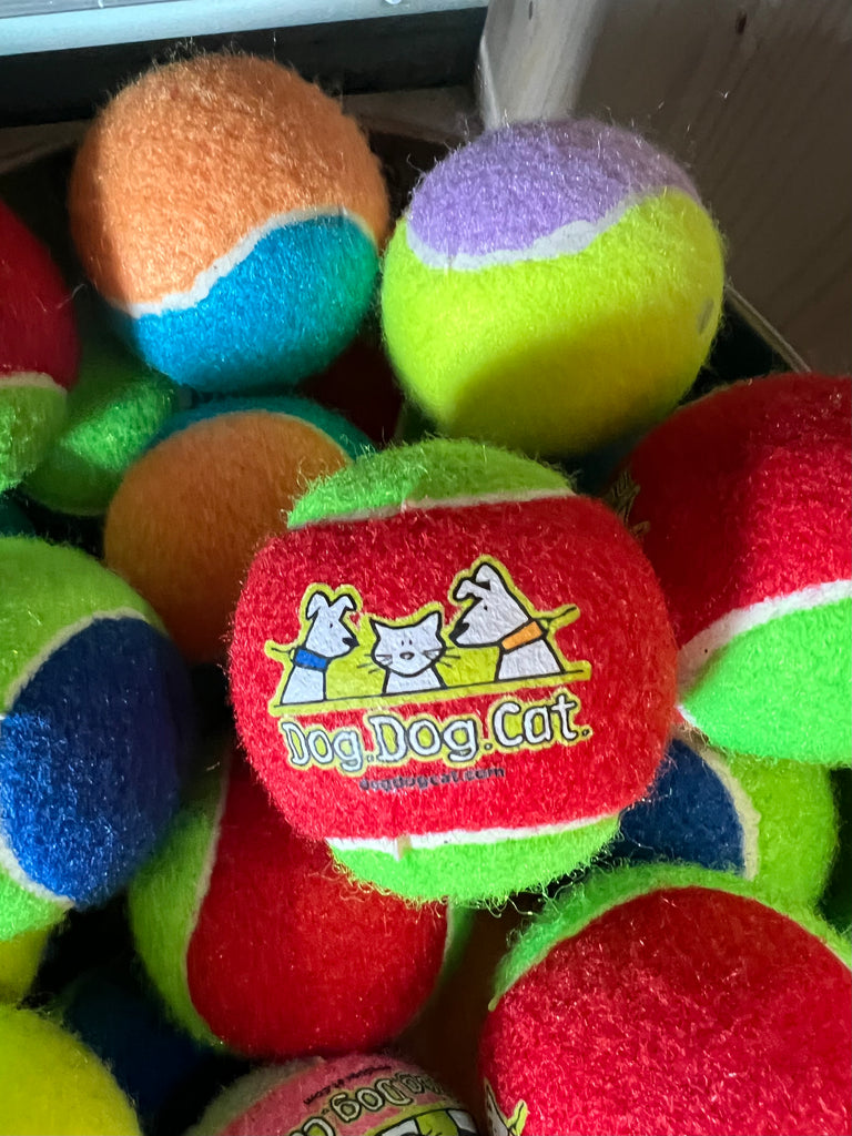 Dog Dog Cat Custom Durable Tennis Ball with Logo - Dog.Dog.Cat.