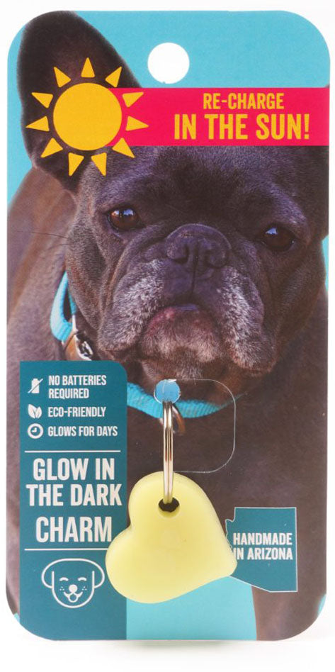 Glow your Pup Up Dog Charm - Dog.Dog.Cat.