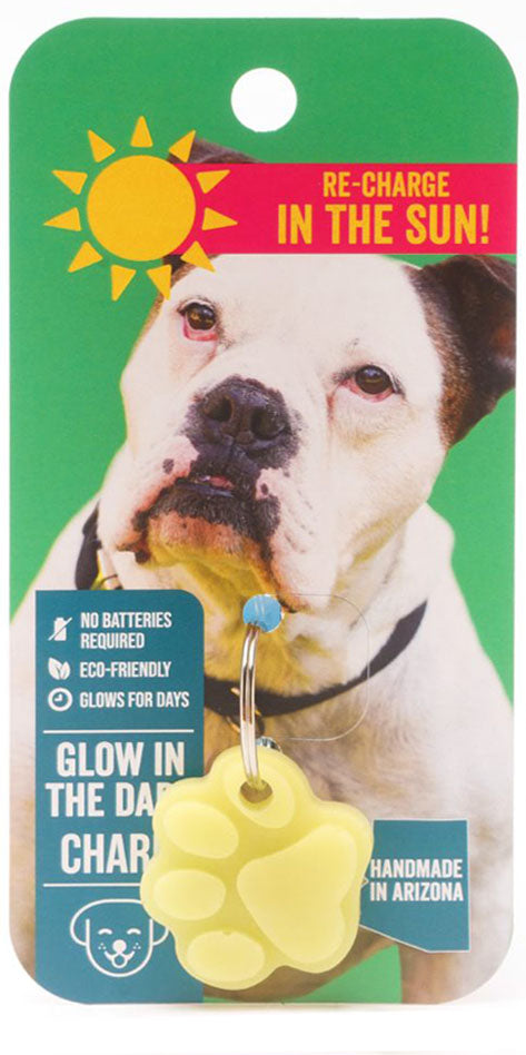 Glow your Pup Up Dog Charm - Dog.Dog.Cat.