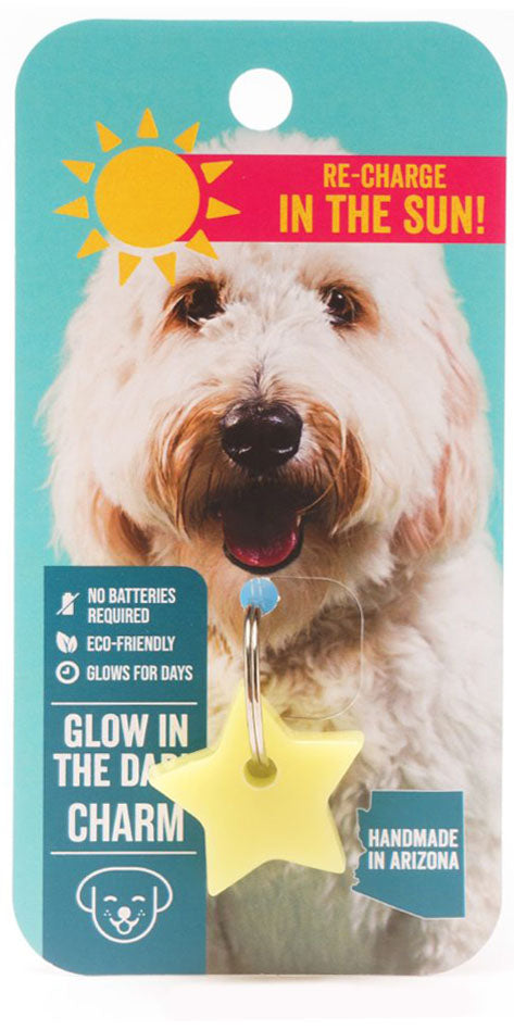 Glow your Pup Up Dog Charm - Dog.Dog.Cat.