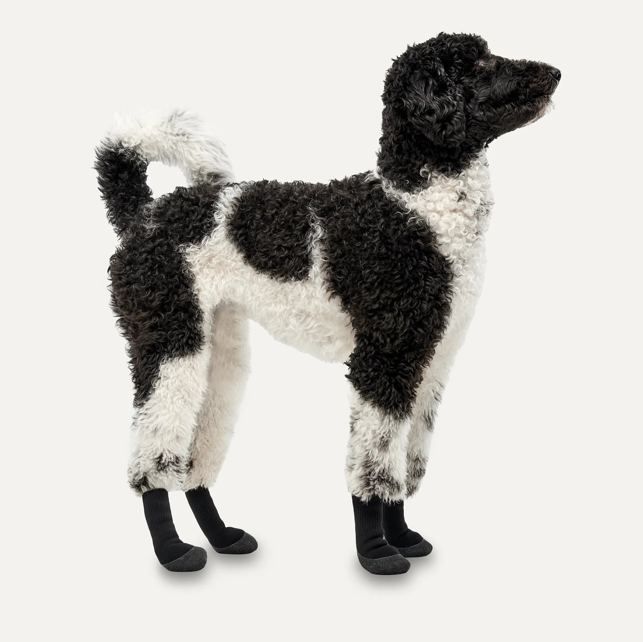 Goo-eez Lites Dog Boots - Waterproof All-Season Paw Protection