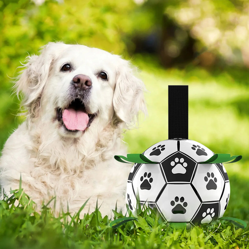 Dog Soccer Ball Toy with Tabs includes Free Pump Glow in the Dark or Standard in two sizes - Dog.Dog.Cat.