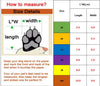 Full Leg Dog Shoes - Durable Protective Boots for Dogs, All Sizes & Secure Fit - Dog.Dog.Cat.