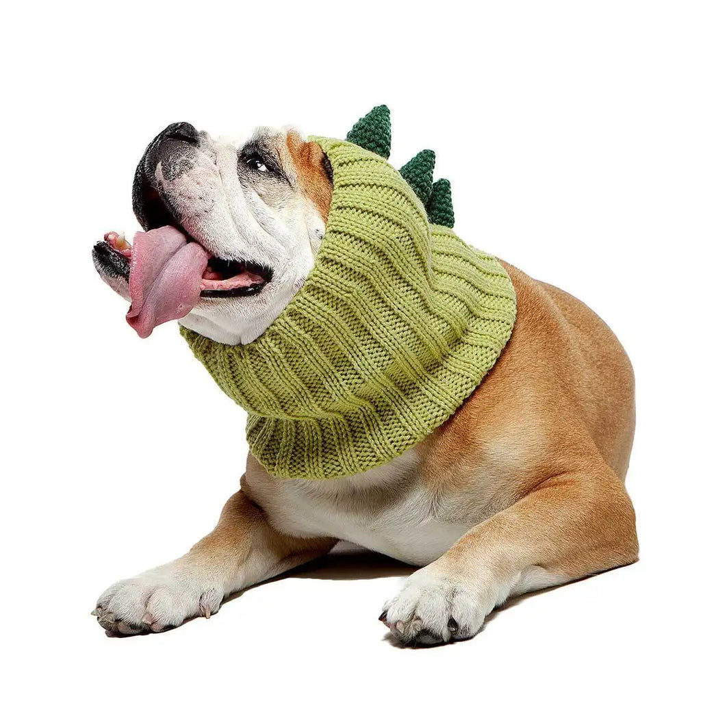 Knitted Dog Hat for Dogs - Dog.Dog.Cat.