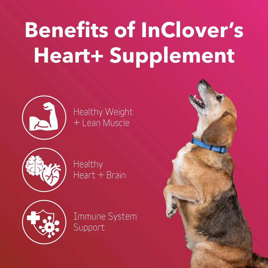 InClover Heart+ Supplement for Dogs + Cats (BioVibrant) - Dog.Dog.Cat.