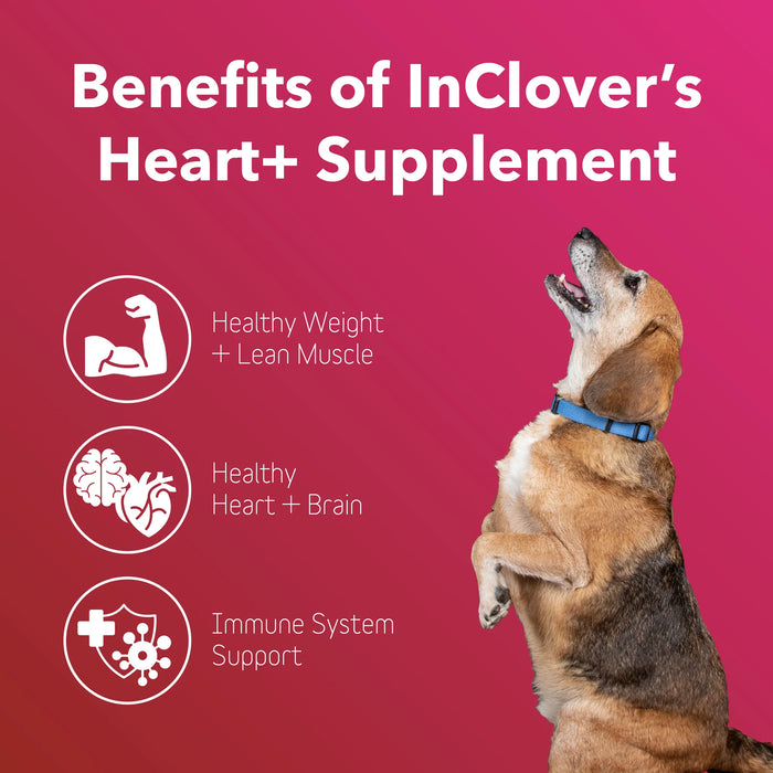 InClover Heart+ Supplement for Dogs + Cats (BioVibrant)